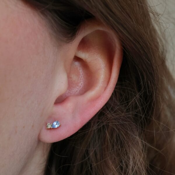 Apata Ear Studs No 5 (pair)